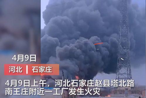 粤东事件爆料视频大全最新,视频大全揭露惊人真相